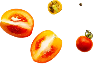 Contact 2 img contact vegetable2 min